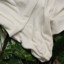 Pure Bamboo 32's Rfd-Tanboocel Tag